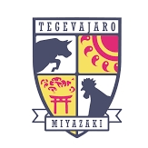 テゲバジャーロ宮崎のチームエンブレム