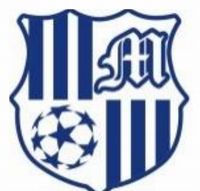 元石川のチームエンブレム