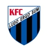 海南FCのチームエンブレム